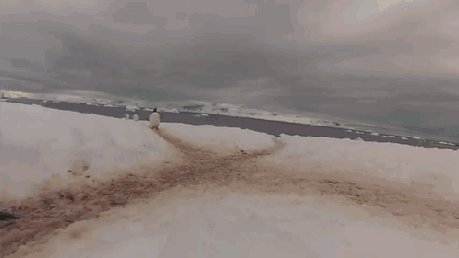 Traffic in Antartica