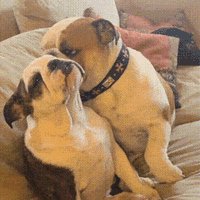 I'm not in the mood