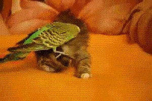 GET OFF