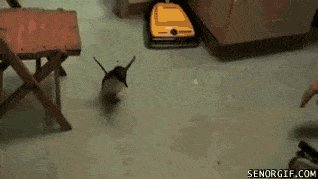 Oh Don't Stop!