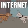 Internet vs Reality