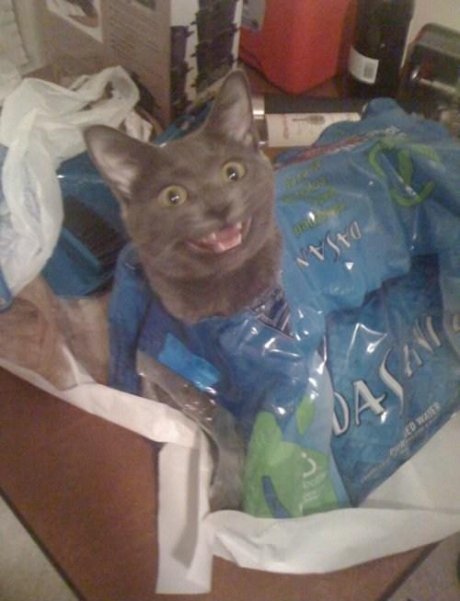 Surprise, motherfucker