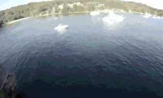 Man jumping into water, didn't know what he was getting himself into