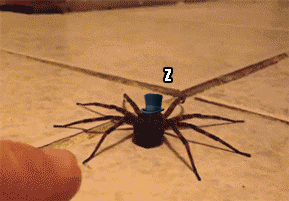 Gif of the Day: The NOPE Tables Have Turned