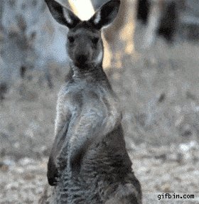 When I hear a guitar solo in a random song