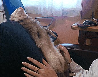 Sleepy