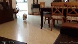 You Have To See This Incredible Jump