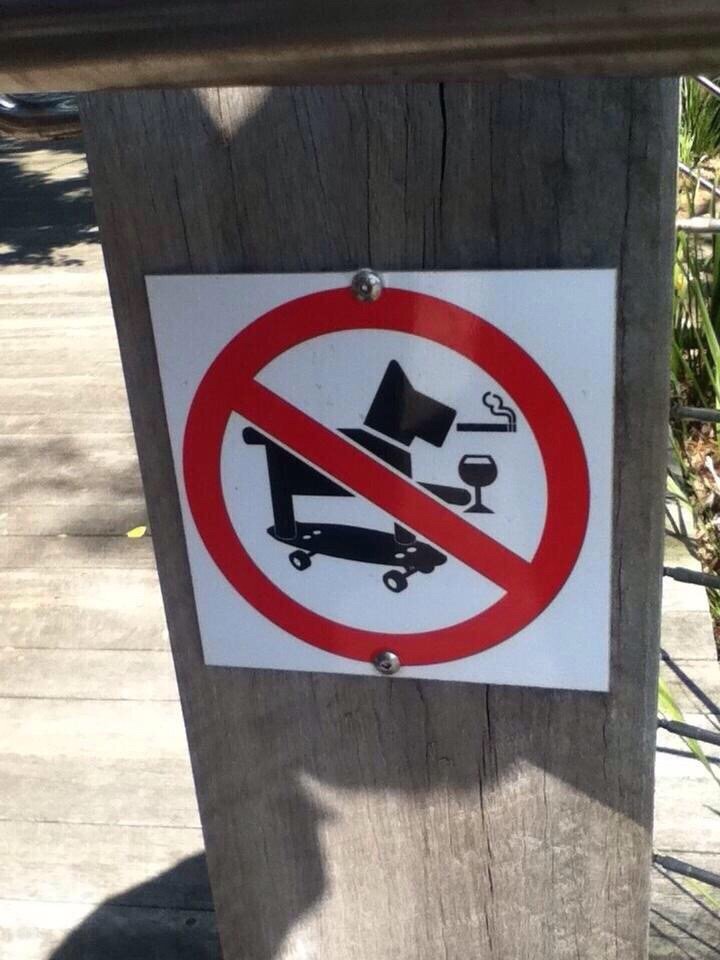 Sorry, no cool dogs allowed.