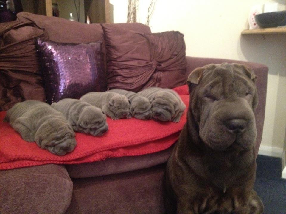 "I, big wrinkle, made all these little wrinkles."