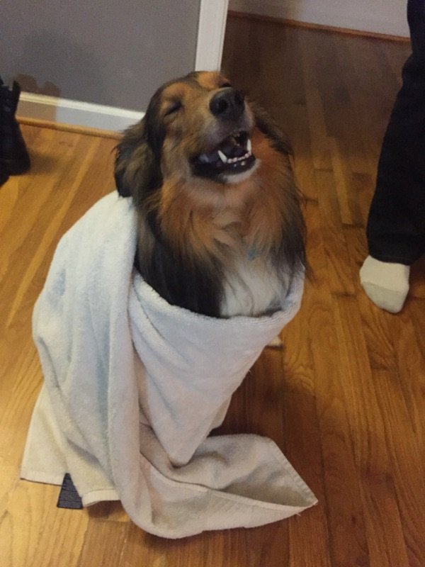 He sure does love being dried off.