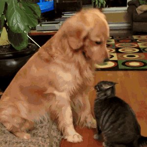 It's ok - a beautiful friendship