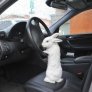 Don't ask questions, just get in...