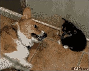 He Just Got Showed Who Is Boss