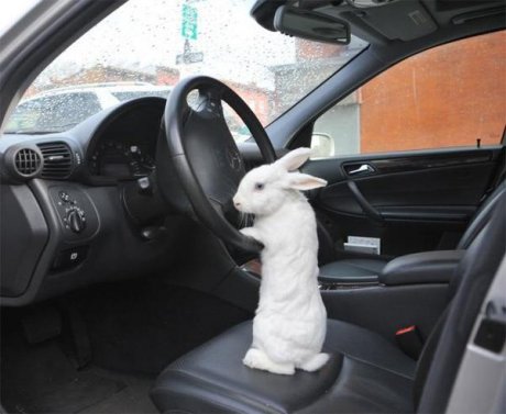 Don't ask questions, just get in...