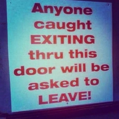 Hey! Get back in here! Now get out