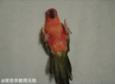 Can you read me a bedtime story?