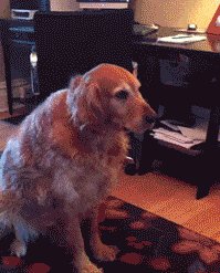 How this last term has felt.
