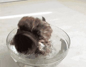 Owl bath time