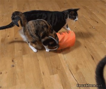 Help I'm being attacked!