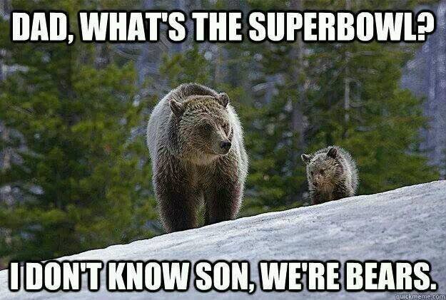 What's the Super Bowl?