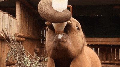 Oh no you don\'t