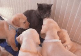 What Happens When The First Girl Shows Up At A Party