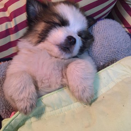 Sleeping like a people.