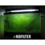 NOFILTER