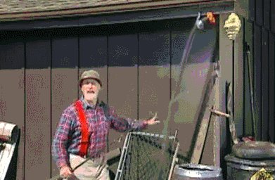 Vacuum Bee Killer