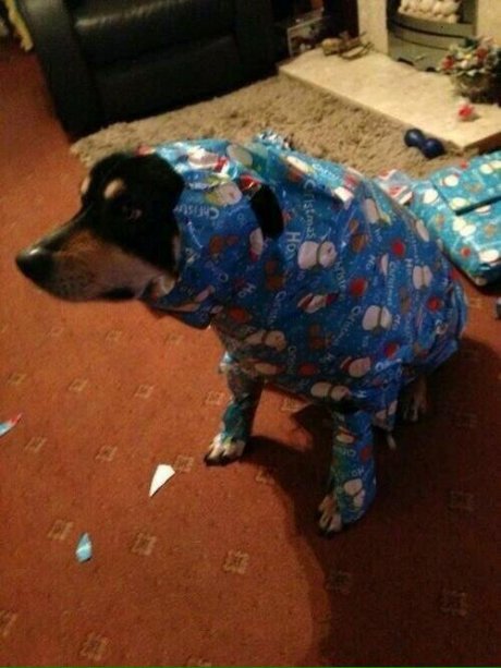 I hope its a PS4