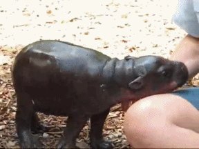 So Cute!