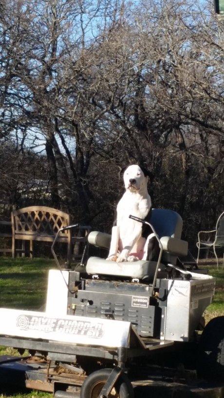 Came home to see that my wife had hired a new gardener.