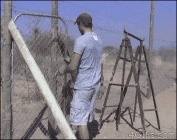 Tiger attacks a man almost kills him