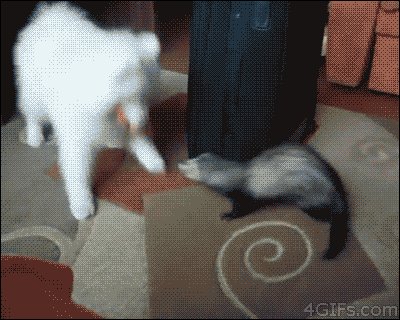 Spin move