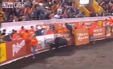 Black Bull Gives You Wings!
