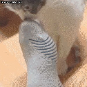 Human it stinks!