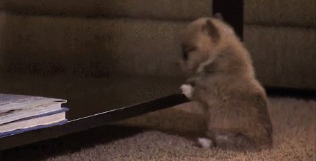 Tipsy Puppy be trying.