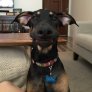 Derp face