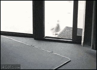 I swear it wasn't there a second ago...