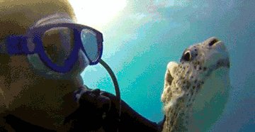 Who's a good little fishy? You are!