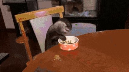 Nom nom nom...