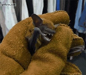 Let me go! I am the night!
