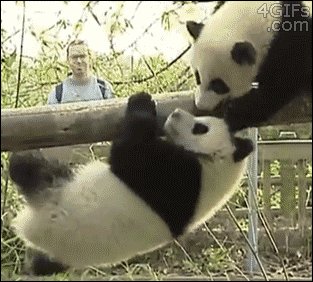Scar! Brother, help me!