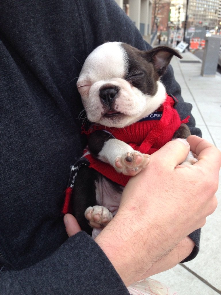 Too tired to enjoy her first day out in the city.