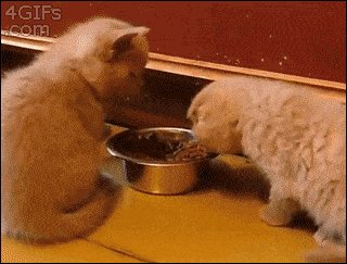 No.. no.. this is mine...