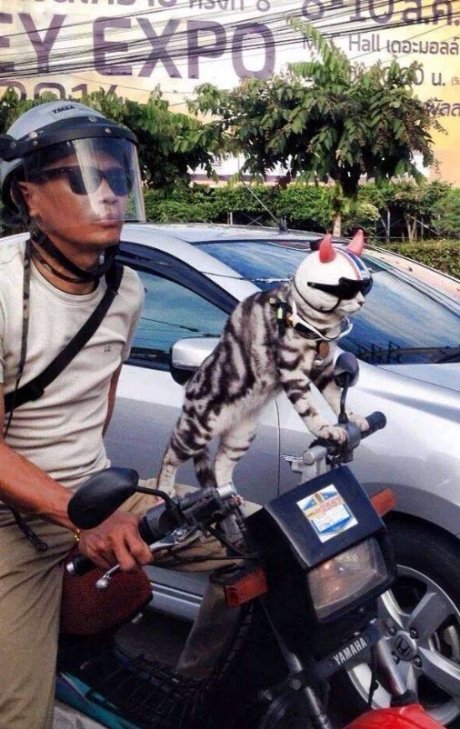 Asia, nuff said