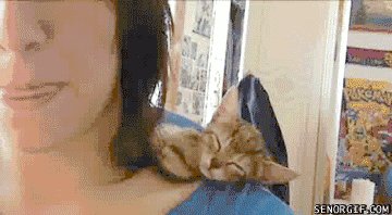 Kitty be a Sleepy Kitty.