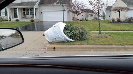 The neighbors are efficient: 8:40am, Christmas morning.