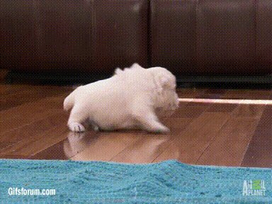 These waxed floors