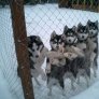 Hey dude, let us out